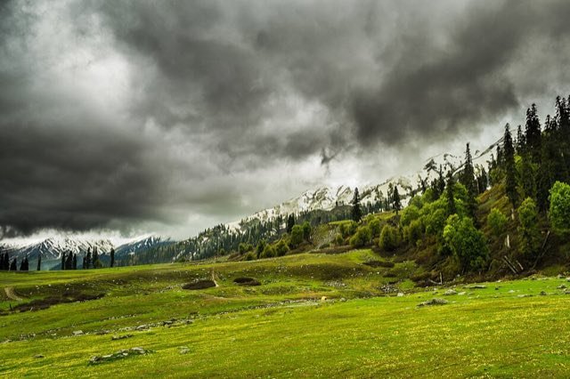 Meadows of Gulmarg